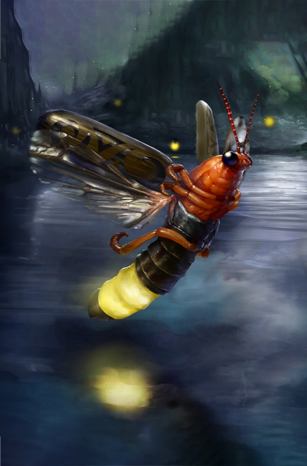 Firefly