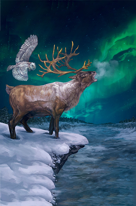 King Reindeer